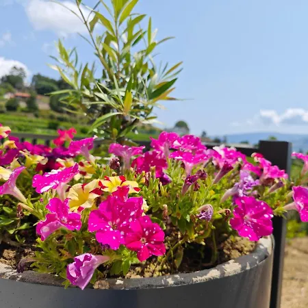 Casa Da Milinha - With A Pool Near Rio Douro Santa Cruz do Douro