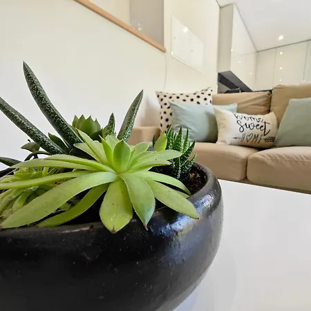 Casa Da Milinha - With A Pool Near Rio Douro