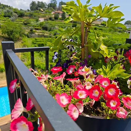 וילה Casa Da Milinha - With A Pool Near Rio Douro Santa Cruz do Douro