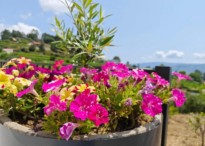 Casa Da Milinha - With A Pool Near Rio Douro Santa Cruz do Douro