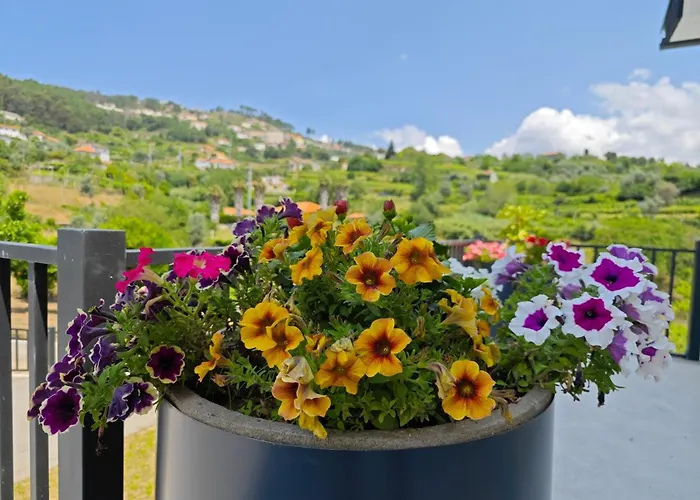 Casa Da Milinha - With A Pool Near Rio Douro * Santa Cruz do Douro