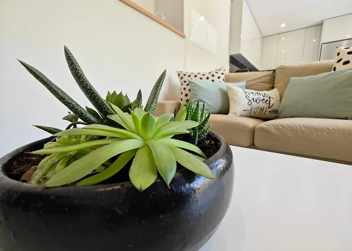 Casa Da Milinha - With A Pool Near Rio Douro