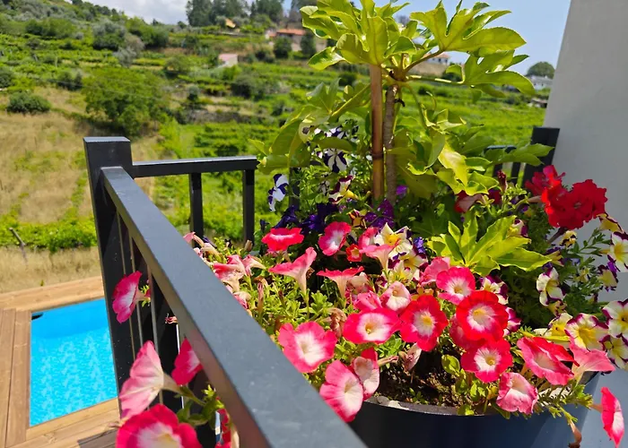 빌라 Casa Da Milinha - With A Pool Near Rio Douro Santa Cruz do Douro